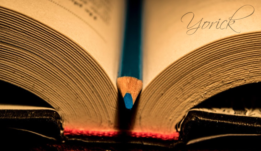 fotografía de un libro abierto